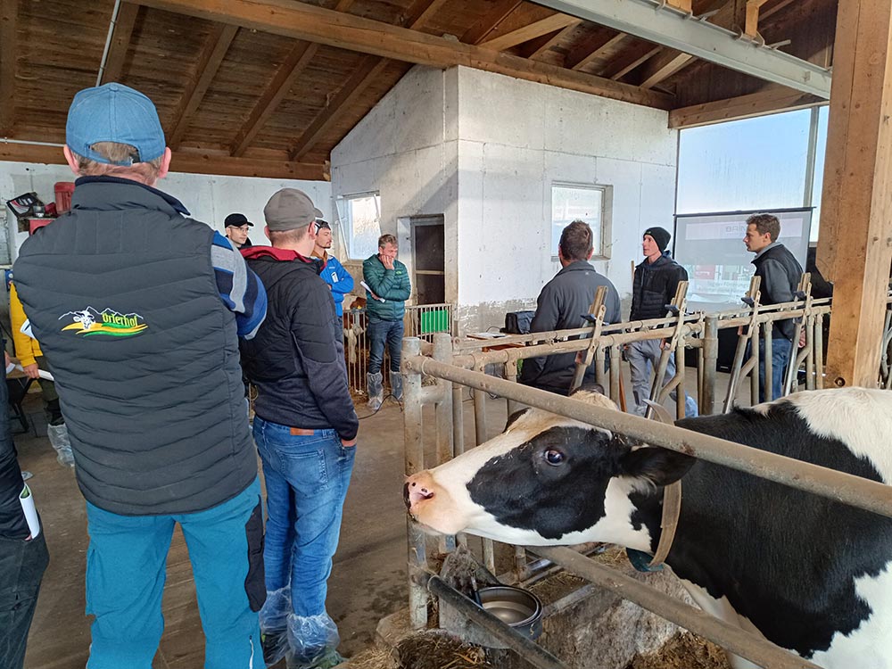 BRING Beratungsring Berglandwirtschaft Bergbauern