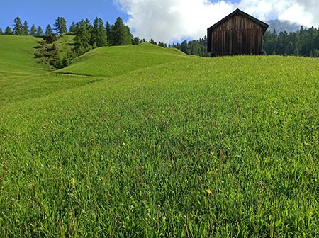 BRING Beratungsring Berglandwirtschaft Bergbauern Grünland Ackerbau