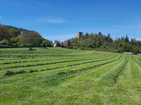 BRING Beratungsring Berglandwirtschaft Grünland Ackerbau